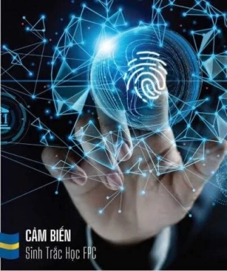 Ngân Sách Thấp Nhưng Muốn Sắm Khóa Thông Minh Ổn Định Sử Dụng Lâu Dài Thì Nên Chọn Loại Nào?