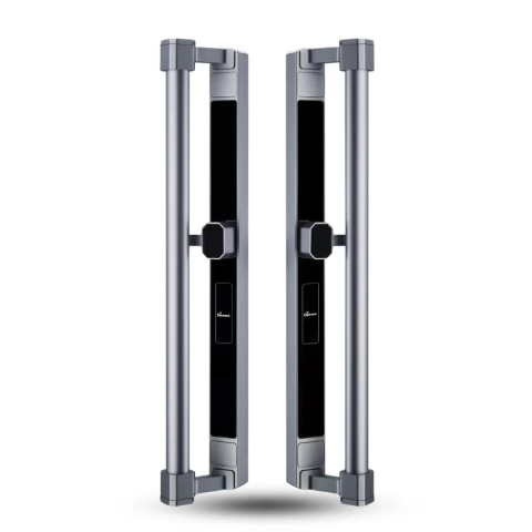 Bộ giả khóa thông minh Demax SL808 GS LUX